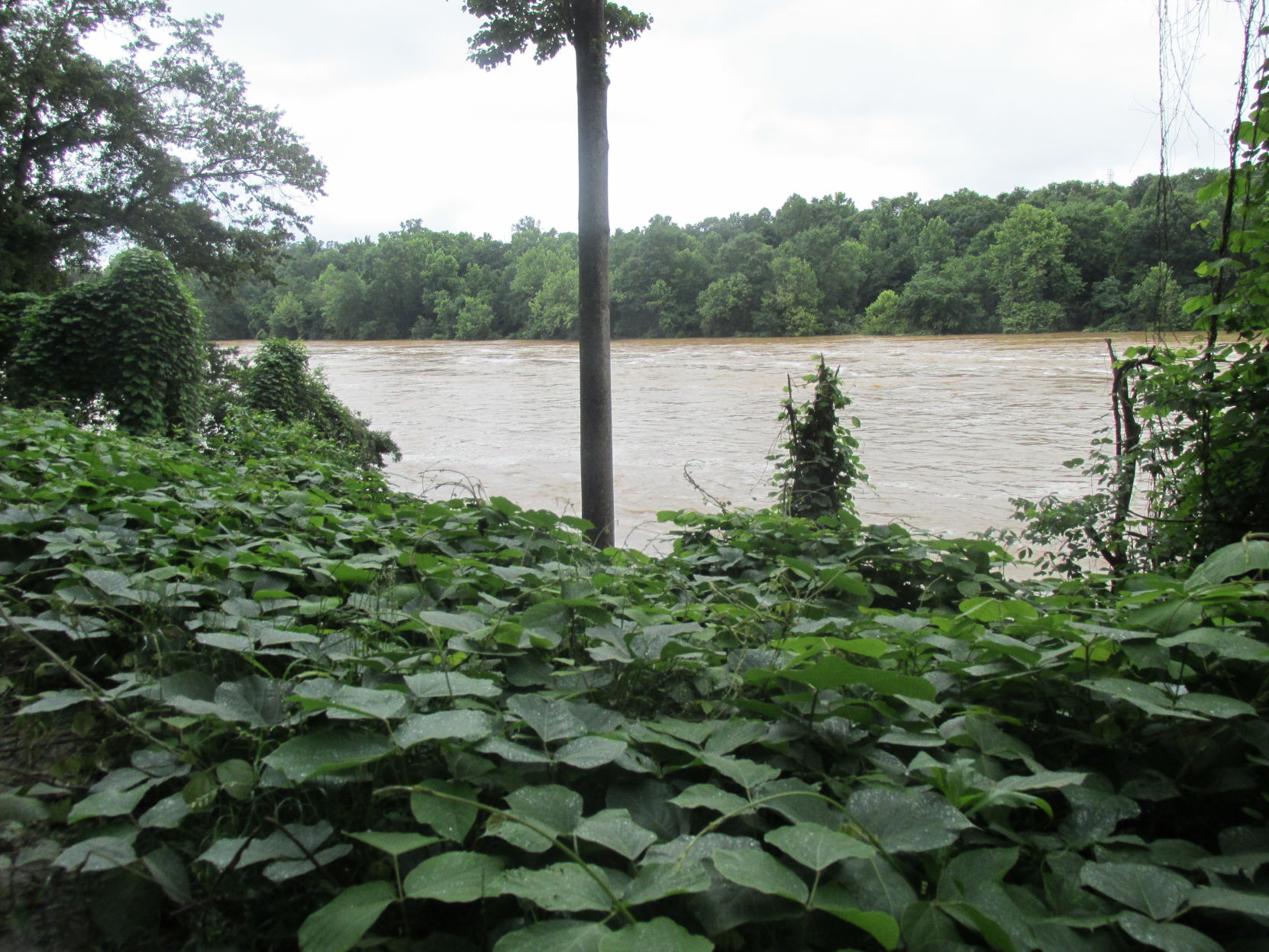 Lookout Dam (18).JPG